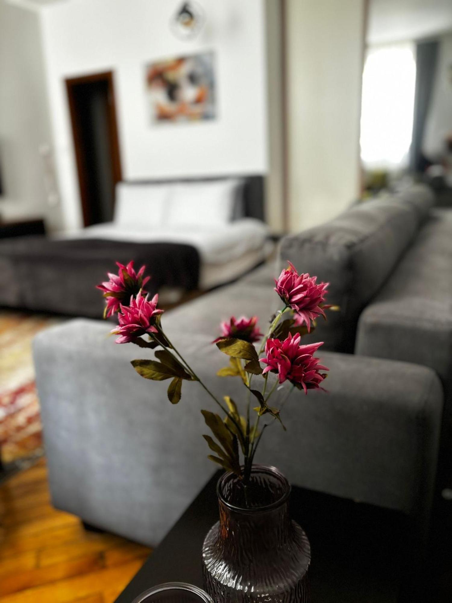 Apartment Mila Saraybosna Dış mekan fotoğraf